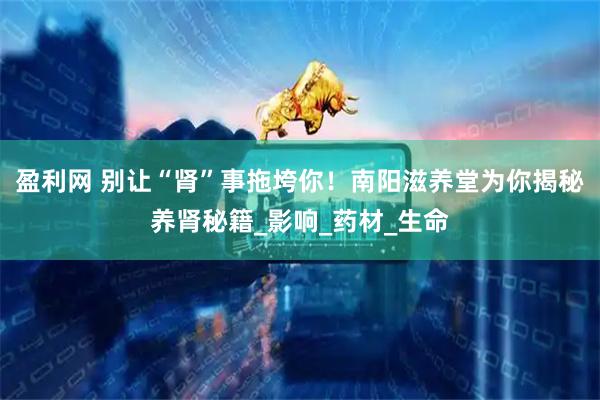 盈利网 别让“肾”事拖垮你！南阳滋养堂为你揭秘养肾秘籍_影响_药材_生命
