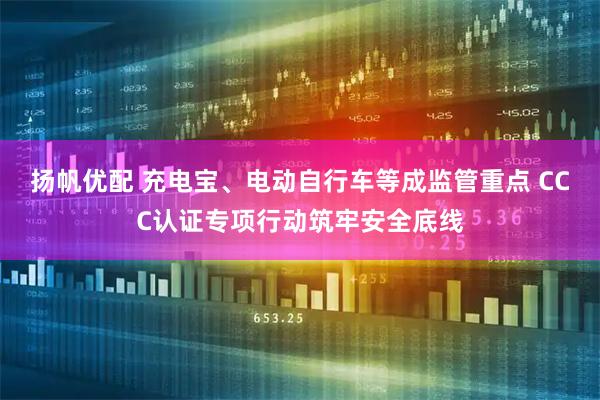 扬帆优配 充电宝、电动自行车等成监管重点 CCC认证专项行动筑牢安全底线